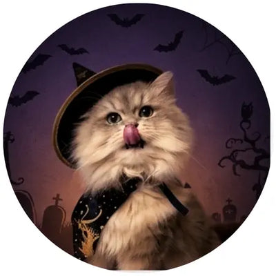 Cat Halloween shop