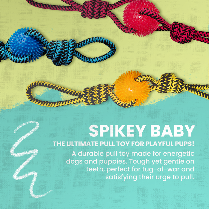 SnugArooz Spikey Baby Rope Dog Toy