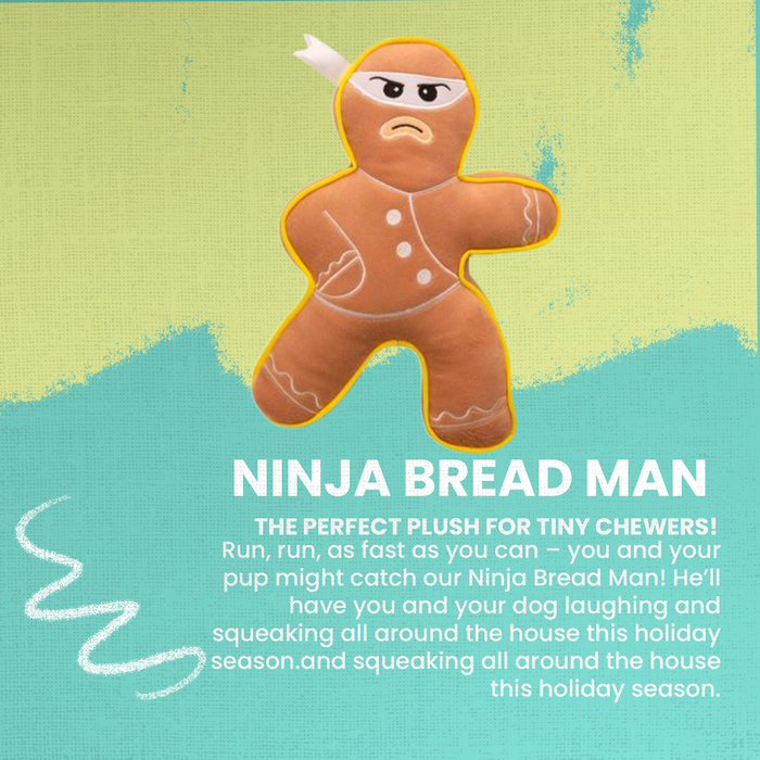 SnugArooz Ninja Bread Man Holiday Plush Dog Toy