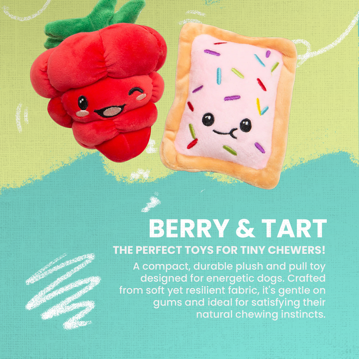SnugArooz Poptart and Raspberry 2pk Plush Dog Toy