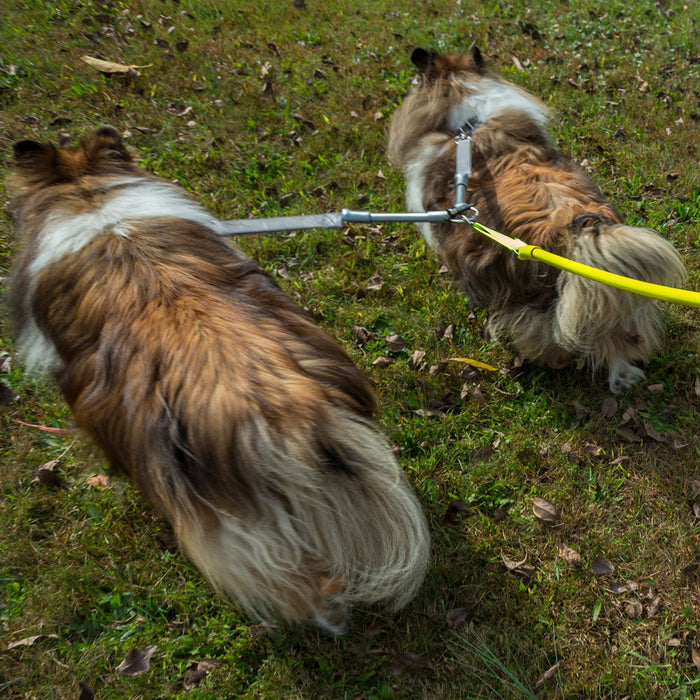 WACKYstore 2 Dogs on 1 Leash - CRAZYcoupl'r