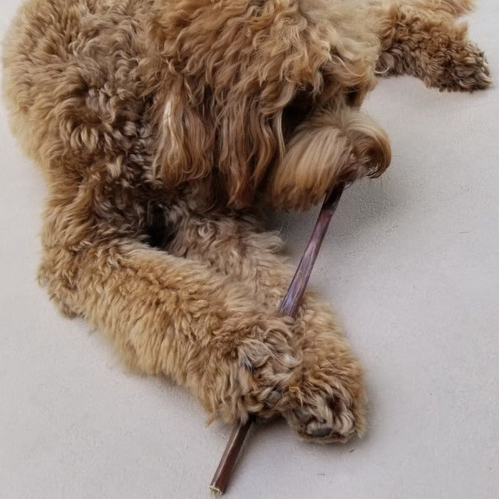 Bully Bunches 12 Inch Beef Jerky Stick