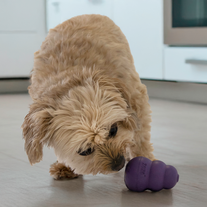 KONG Senior Dog Toy SM - 9 - Image 11