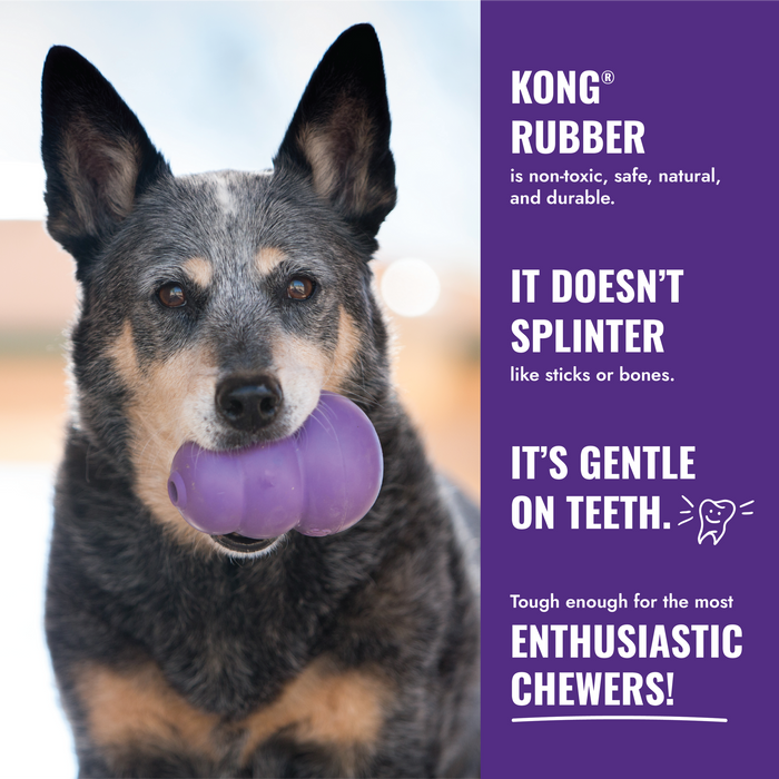 KONG Senior Dog Toy SM - 6 - Image 11