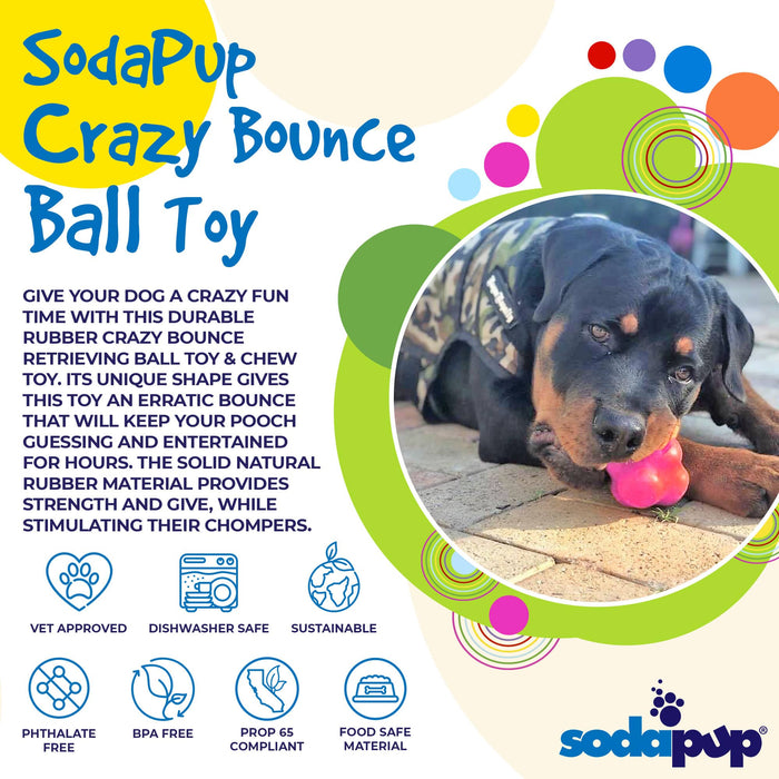 SodaPup Crazy Bounce Ultra Durable Rubber Chew & Retrieving Toy