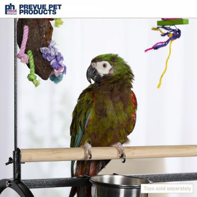 Prevue Pet Products Large Parrot Playstand