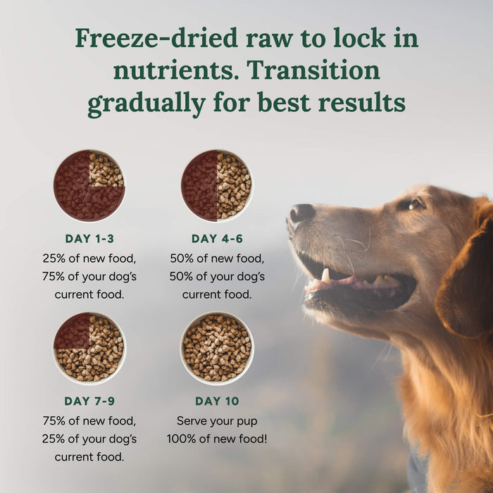 360 Pet Nutrition Beef Formula Adult Dog Food 5oz