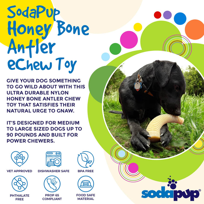 SodaPup Honey Bone Dental Antler  eChew Ultra Durable Nylon Dog Chew Toy - XL