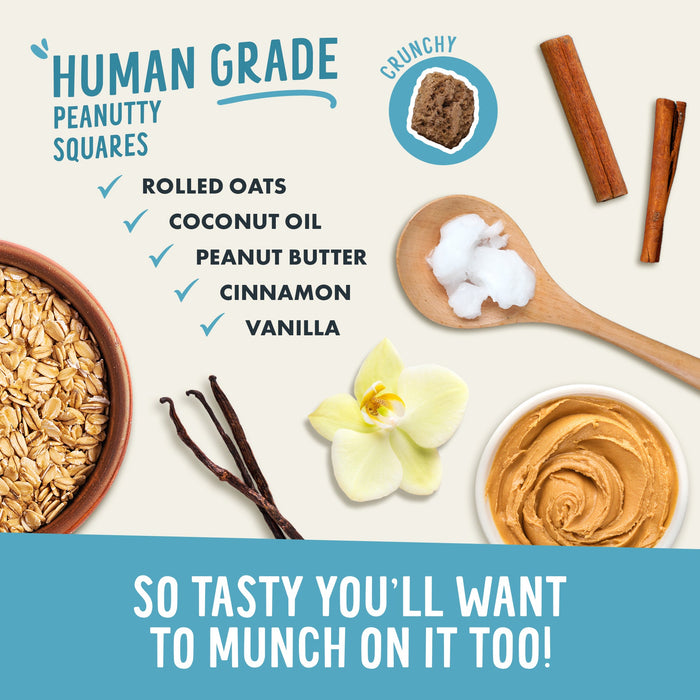 Health Extension Crunchy Munchies Granola Bites-Peanutty Squares - 4 - Image 9