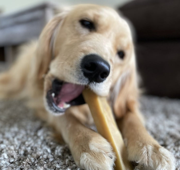 Bully Bunches Himalayan Yak Chew (LARGE)