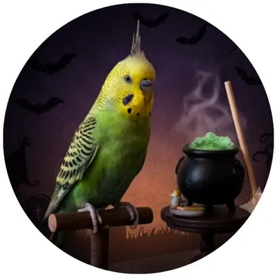 Pet parent Halloween shop