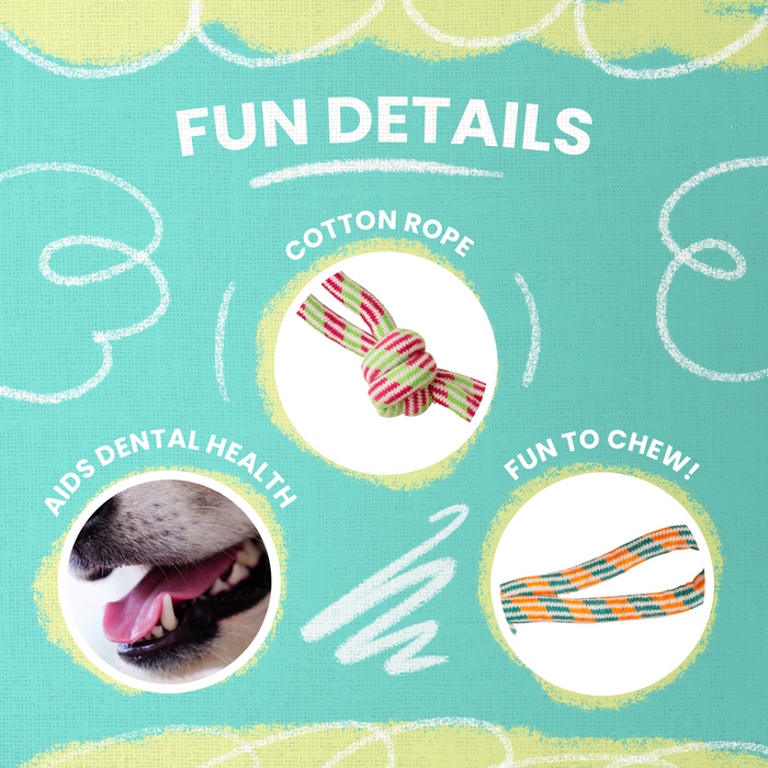 SnugArooz Fling 'N Floss Rope Dog Toy