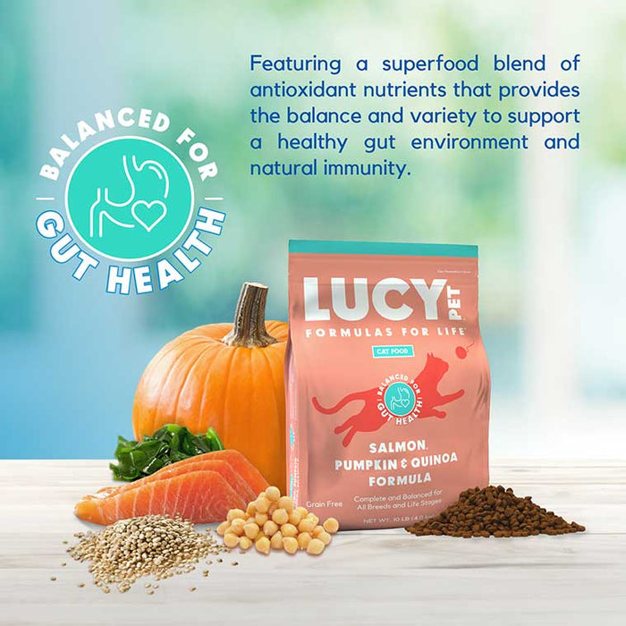 Lucy Pet Products Formulas for Life Dry Cat Food Salmon, Pumpkin & Quinoa 4lbs