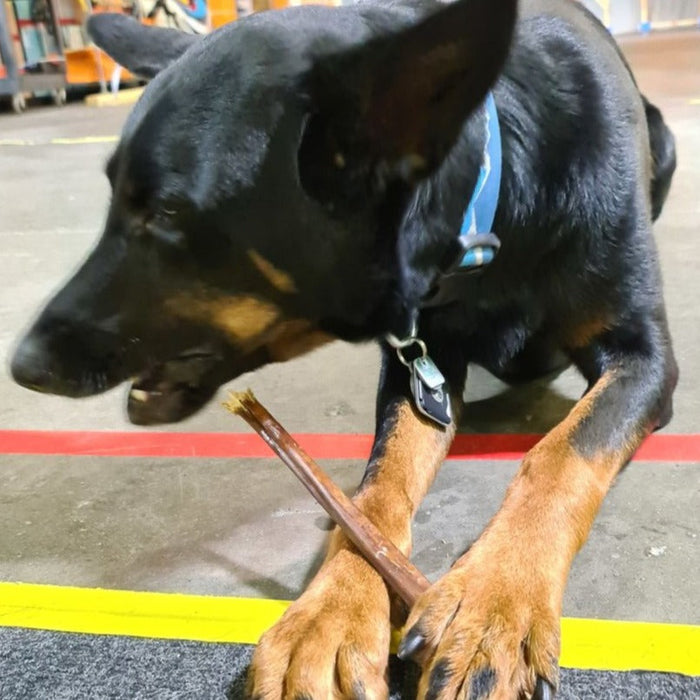 Bully Bunches 12 Inch Beef Jerky Stick