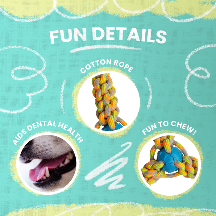 SnugArooz Fling 'N Fun Rope Dog Toy