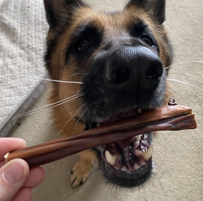 Bully Bunches 6 Inch Beef Jerky Stick