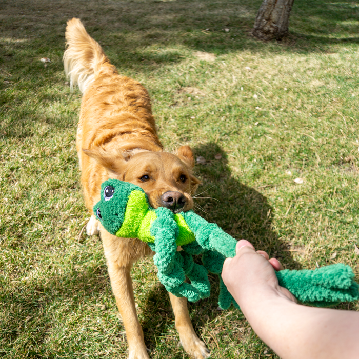 KONG Knots Frog Dog Toy LG/XL - 4 - Image 6