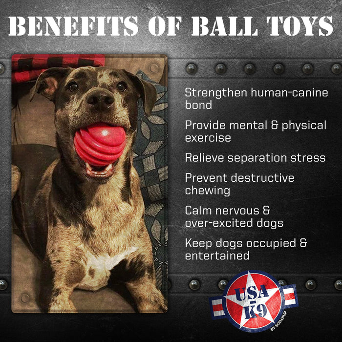 SodaPup USA-K9 Stars and Stripes Ultra-Durable Rubber Chew Ball