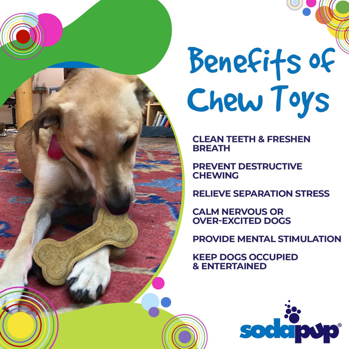 SodaPup Bone eChew Ultra Durable Nylon Dog Chew Toy