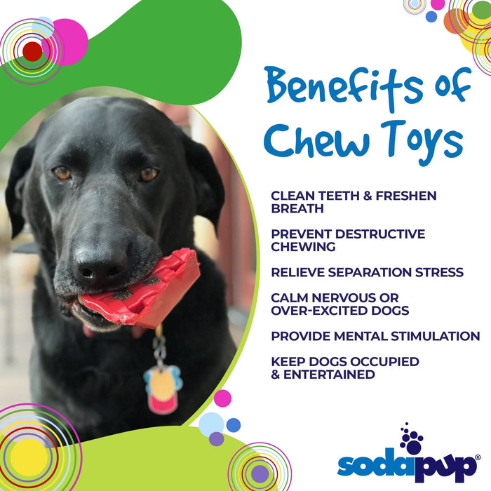 SodaPup Cherry Pie eChew Ultra Durable Nylon Dog Chew Toy and Treat Holder