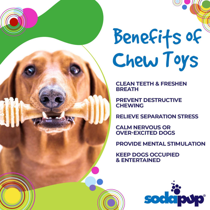 SodaPup Honey Bone eChew Ultra Durable Nylon Dog Chew Toy
