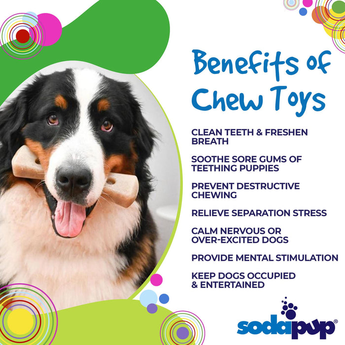 SodaPup MOD Bone eChew Ultra Durable Nylon Dog Chew Toy