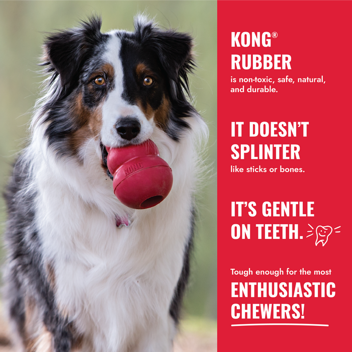 KONG Flyer Dog Toy Red SM - 9 - Image 11