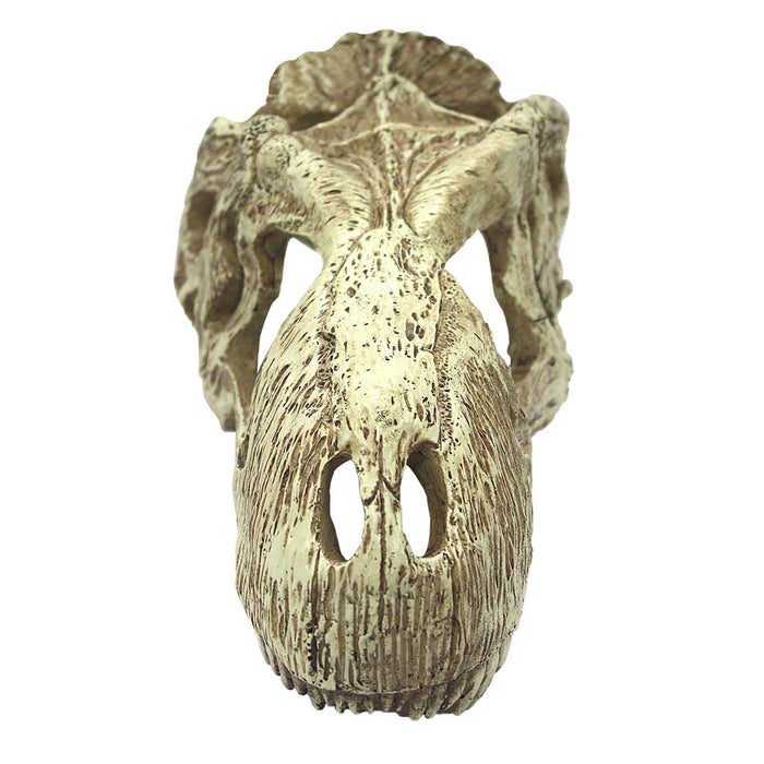Komodo T-Rex Skull Reptile Hideout Tan XL