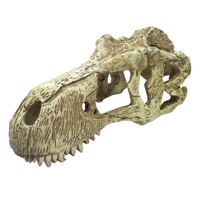Komodo T-Rex Skull Reptile Hideout Tan XL