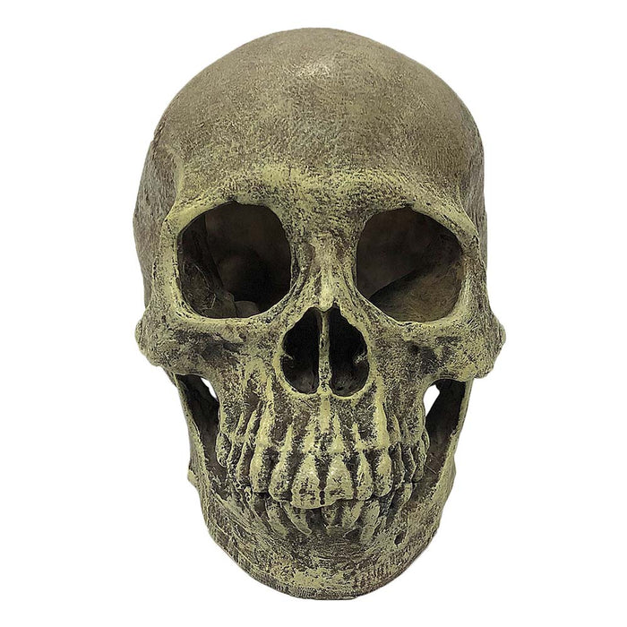 Komodo Full Human Skull Reptile Hideout Gray One Size