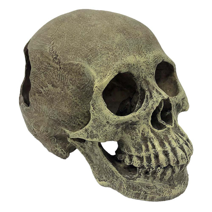 Komodo Full Human Skull Reptile Hideout Gray One Size
