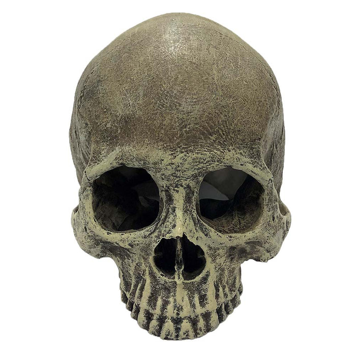 Komodo Half Human Skull Reptile Hideout Gray One Size