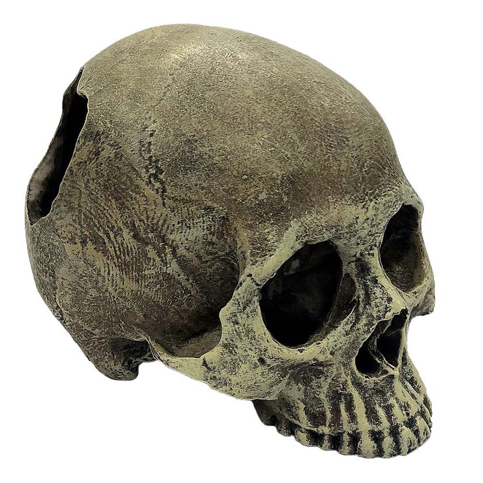Komodo Half Human Skull Reptile Hideout Gray One Size