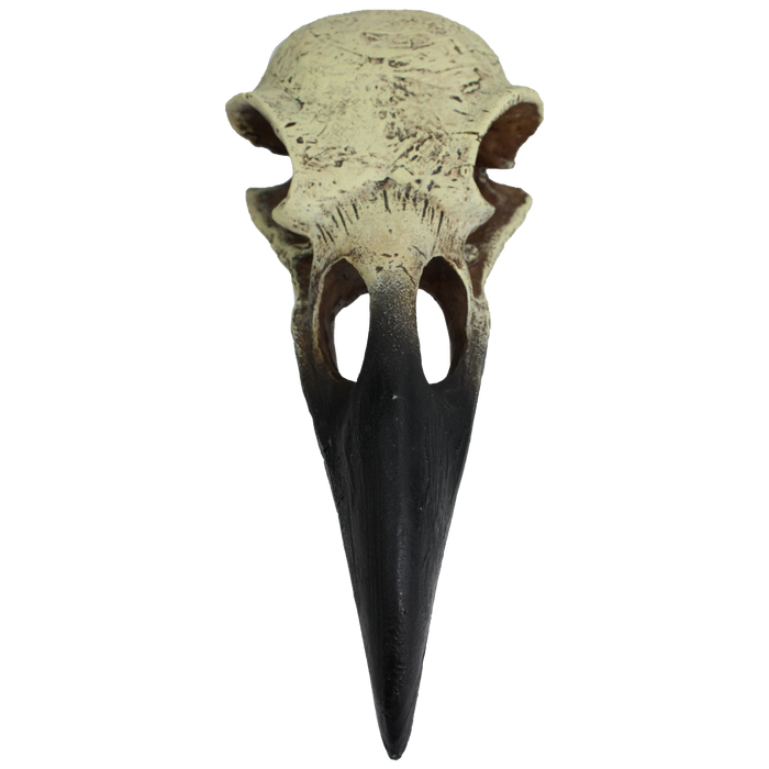 Komodo Raven Skull Hideout MD 6in