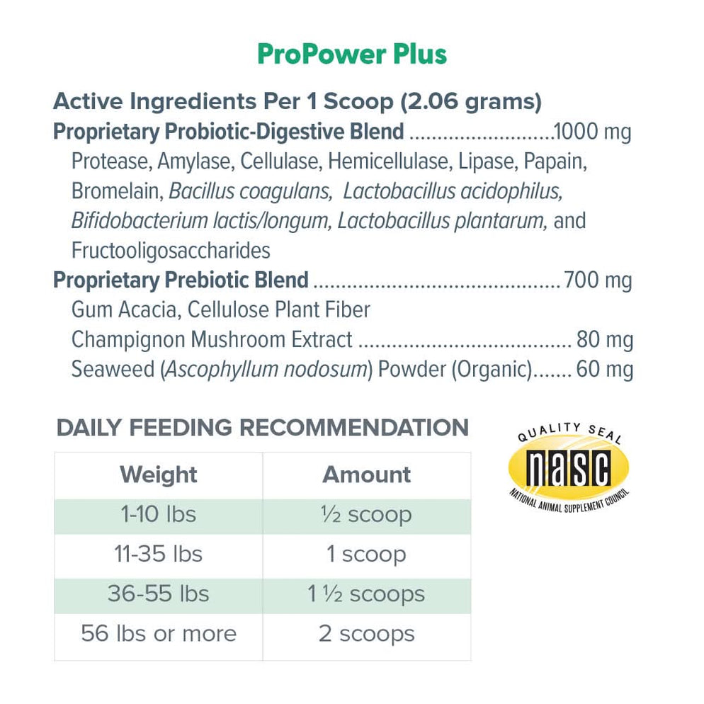 Dr. Marty Canine Digestive Supplement ProPower Plus Probiotic for Dogs ...