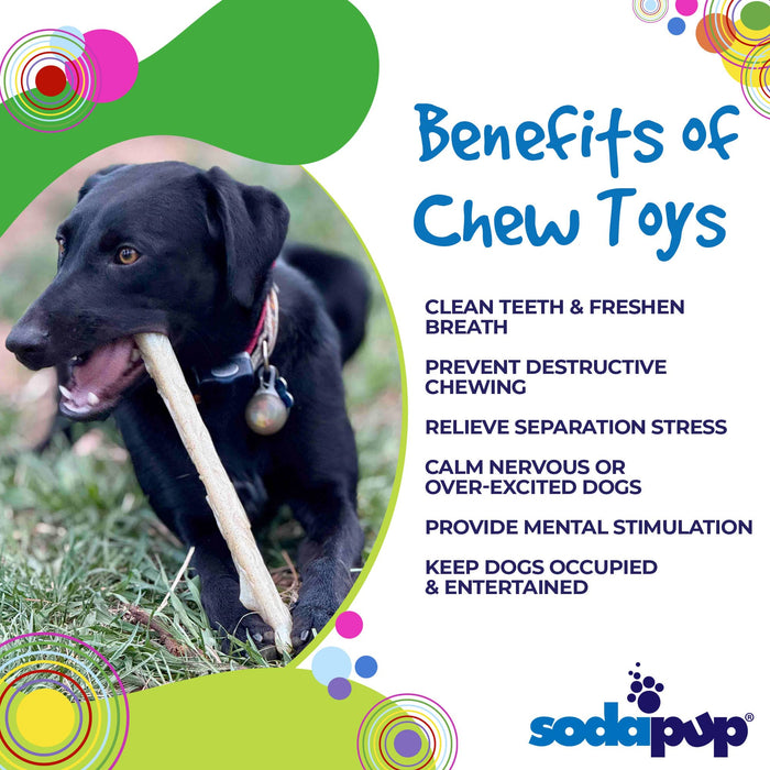 SodaPup Durable Nylon Chew Stick