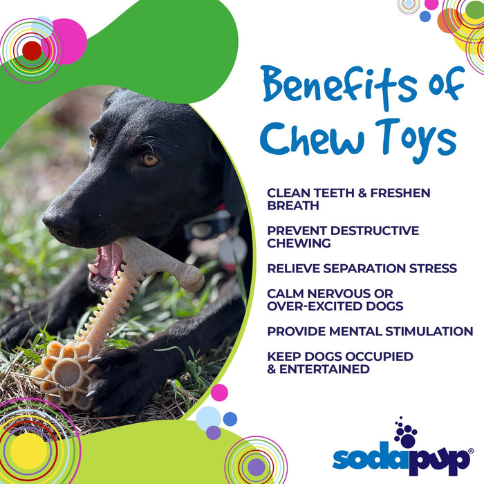 SodaPup Honey Bone Dental Flower Tower eChew Ultra Durable Nylon Dog Chew Toy - XL