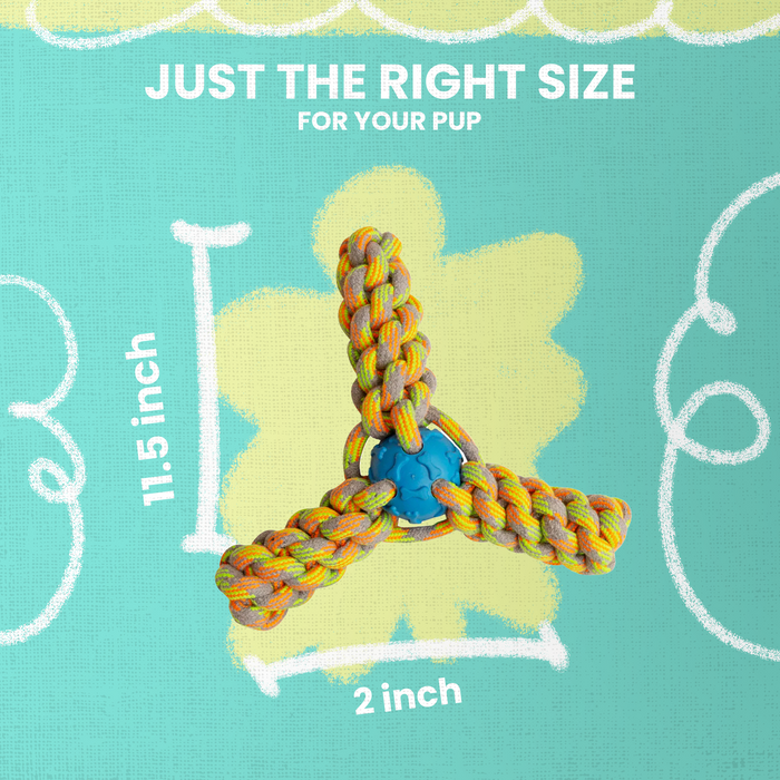 SnugArooz Fling 'N Fun Rope Dog Toy