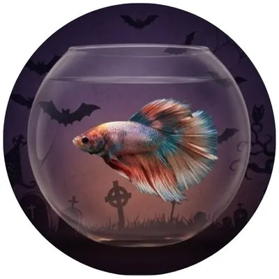 Small pet Halloween shop