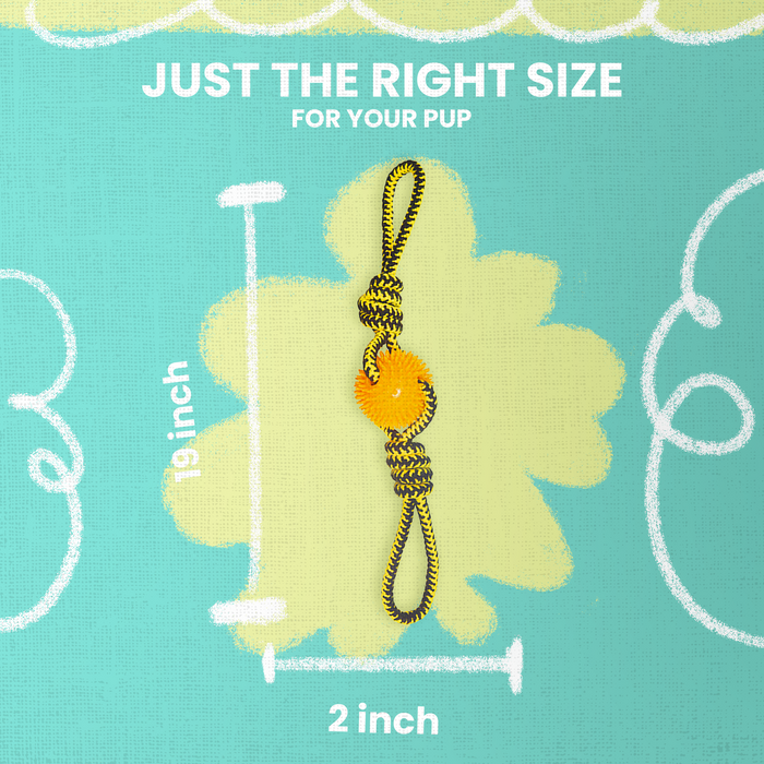 SnugArooz Spikey Baby Rope Dog Toy
