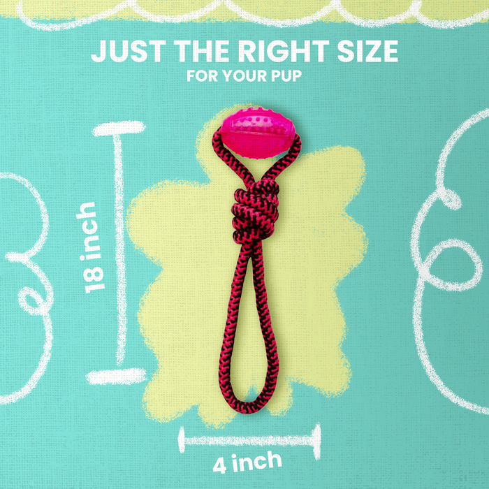 SnugArooz Tug Buddy Rope Dog Toy