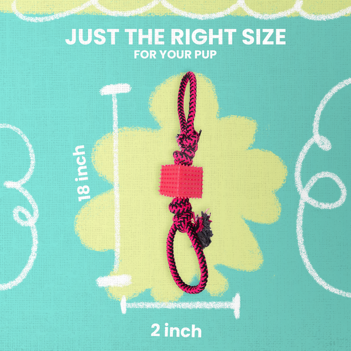 SnugArooz Baby Tug N Cube Rope Dog Toy (Assorted Colors) 16"