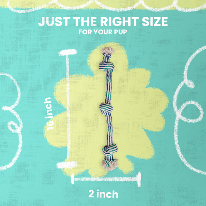 SnugArooz Knotty 'N Nice Rope Dog Toy