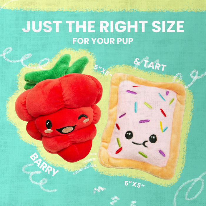 SnugArooz Poptart and Raspberry 2pk Plush Dog Toy