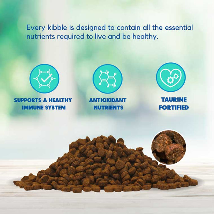 Lucy Pet Products Formulas for Life Dry Cat Food Salmon, Pumpkin & Quinoa 4lbs