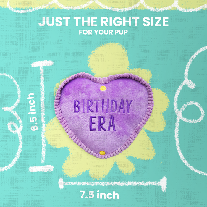 SnugArooz Birthday Era Plush Dog Toy