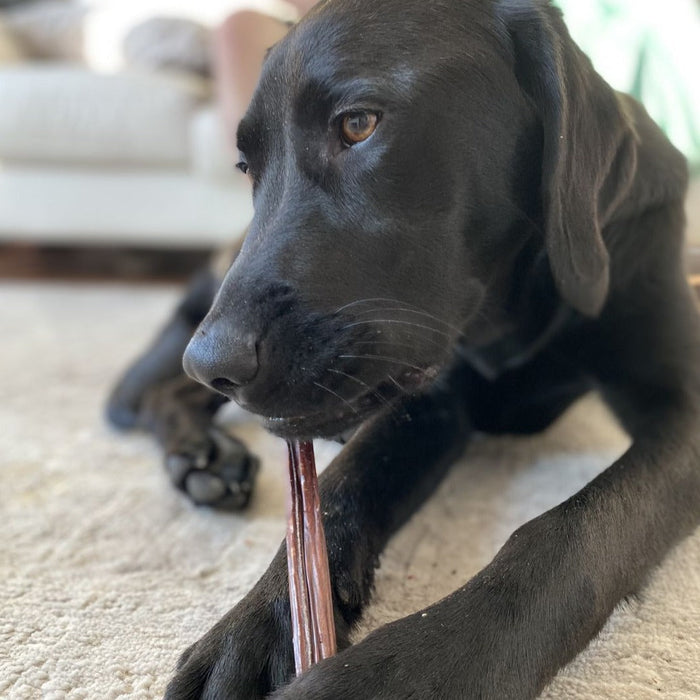 Bully Bunches 12 Inch Beef Jerky Stick