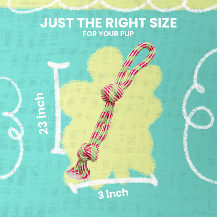 SnugArooz Fling 'N Floss Rope Dog Toy