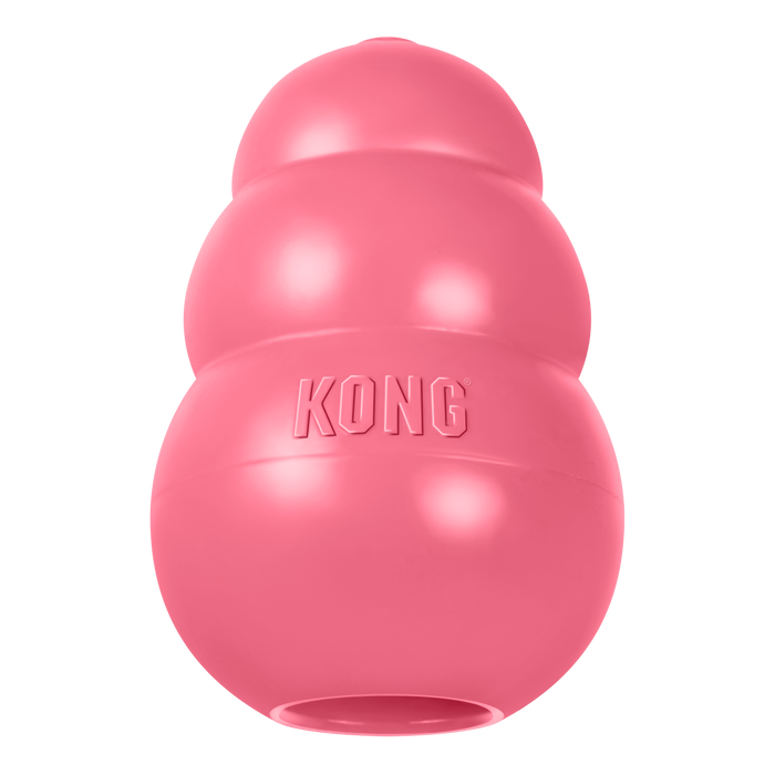 KONG Puppy Toy Assorted LG - 13 - Image 17