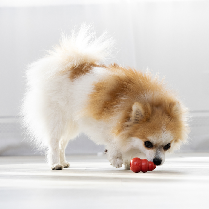 KONG Classic Dog Toy XS - 11 - Image 13